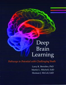 Deep Brain Learning: Pathways to Potential with Challenging Youth ...